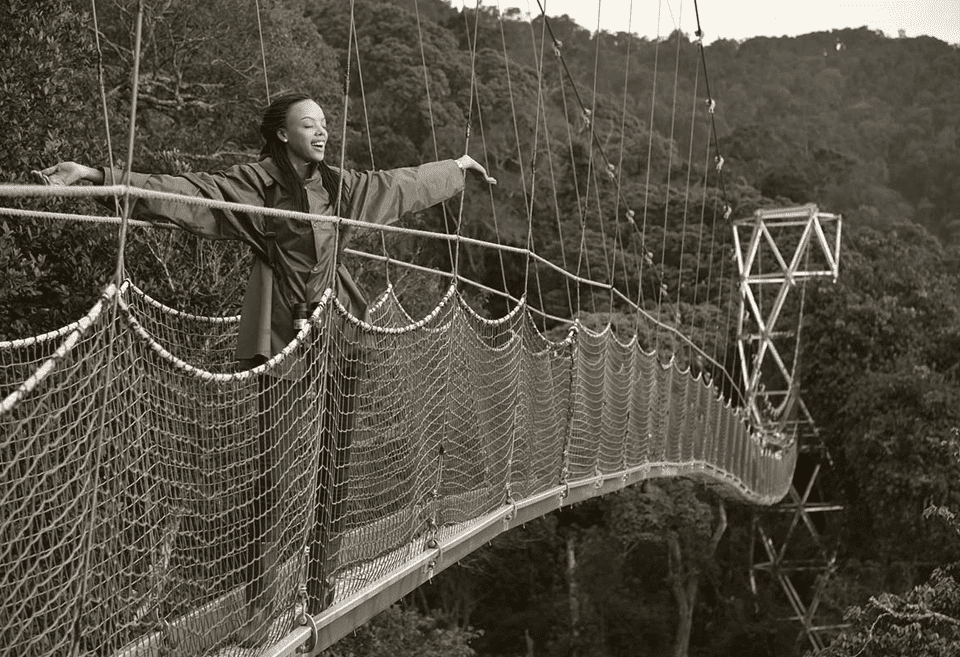 Nyungwe Forest National Park - Canopy