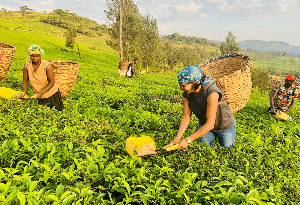 Agri-Tourism In Rwanda