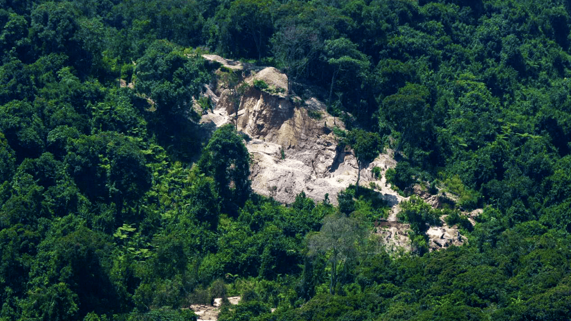 Gishwati National Park